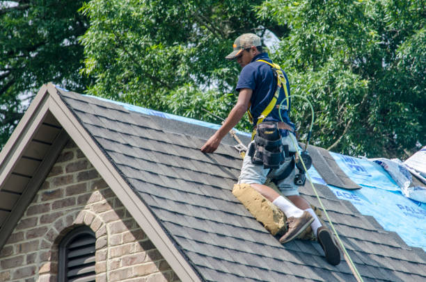 Best Metal Roofing Contractor  in Frankenmuth, MI